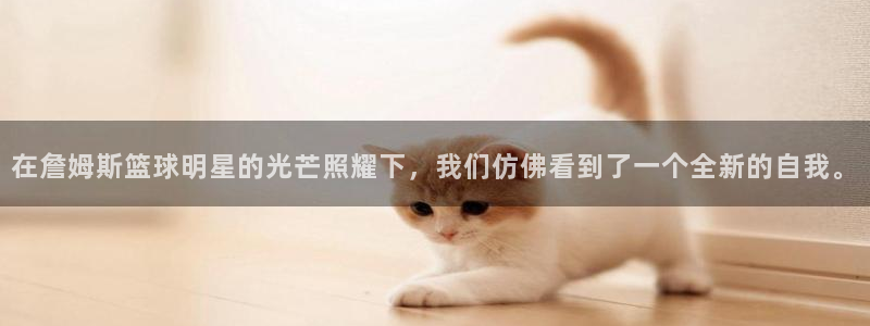 在詹姆斯篮球明星的光芒照耀下，我们仿佛看到了一个全新的自我。