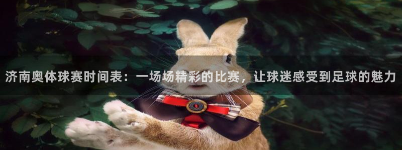济南奥体球赛时间表：一场场精彩的比赛，让球迷感受到足球的魅力