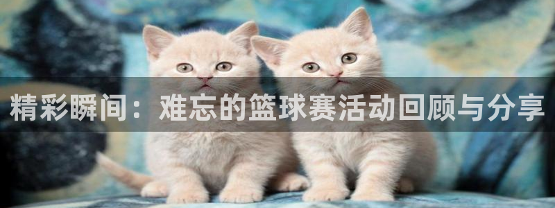 精彩瞬间：难忘的篮球赛活动回顾与分享