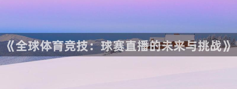《全球体育竞技：球赛直播的未来与挑战》