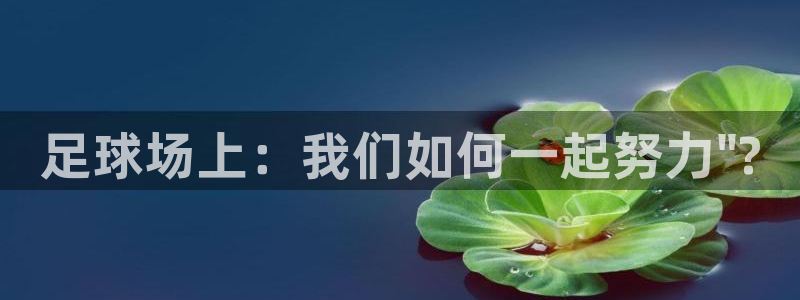 好博体育官网首页：足球场上：我们如何一起努力\