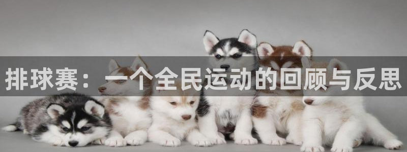 好博体育：排球赛：一个全民运动的回顾与反思