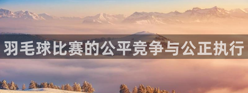 好博体育app官网入口下载手机版：羽毛球比赛的公平竞争与公正