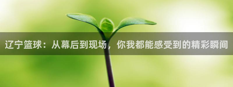 好博体育平台入口官网：辽宁篮球：从幕后到现场，你我都能感受到